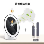 Nano Ionic Facial Steamer