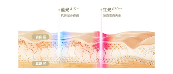 面罩美容仪(images 23)