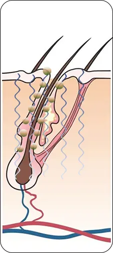 便携微电流梳子(images 15)