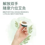 Nano Ionic Facial Steamer