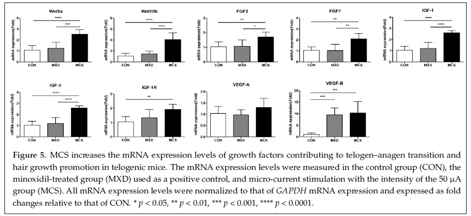 微电流能帮助长头发吗?——探索科技养发新方式(images 4)