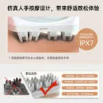 Nano Ionic Facial Steamer
