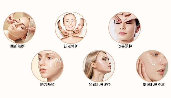 多功能冷热美容仪（images 7）