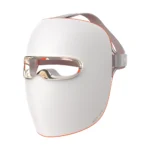 Nano Ionic Facial Steamer